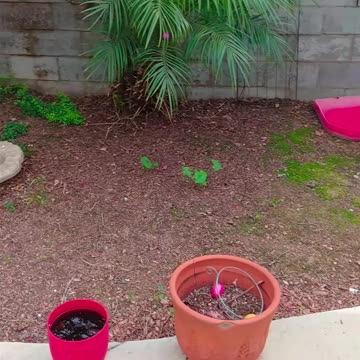 Happy Easters #easter #jesushasrisen #bovcast