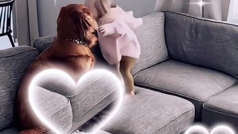My kids and pets