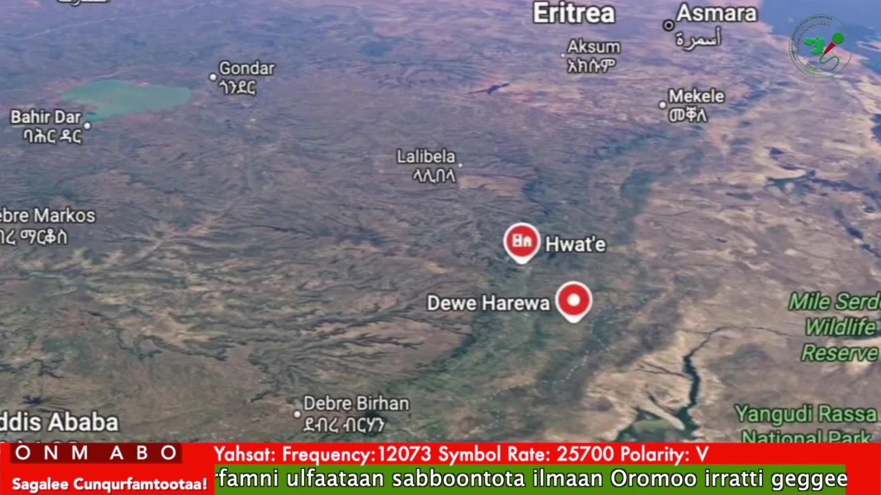 Oduu Ganama ONM-ABO Fulbaana 13-2025 itti dhiyaadhaa!