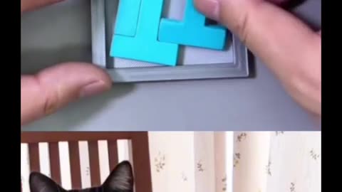 🤔😂 Can You Fit Four T's in This Frame? Mind Blown! | FunFM