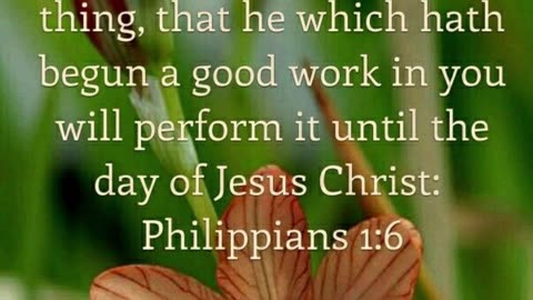 Prayer of Confidence #youtubeshorts #grace #jesus #mercy #faith #fyp #trust #bless #love #confident