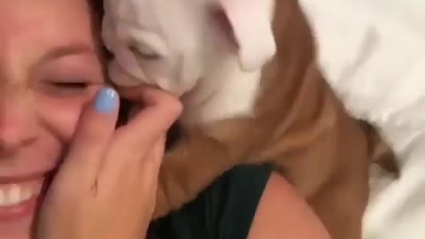 funny animals