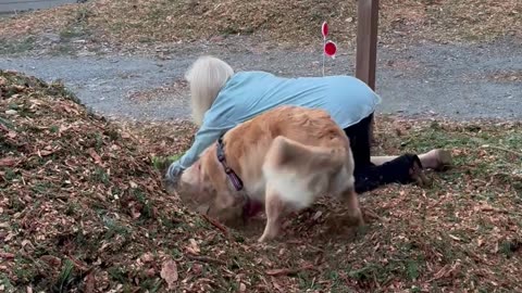 Dog Helps Grandma Garden