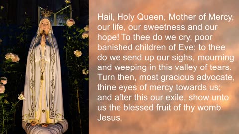 Novena for Impossible Requests to Mother Mary - Pray for 9 Days - Beautifully Recited