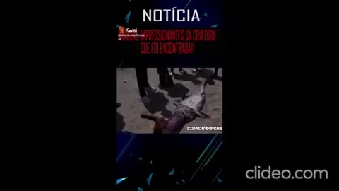 cobra gigante pega homem shorts maenatureza BTn4OsRw.mp4