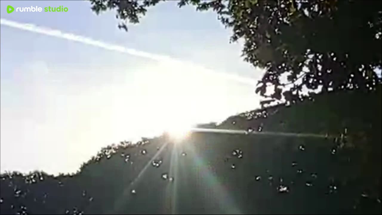 Sunrise exercise 🌻