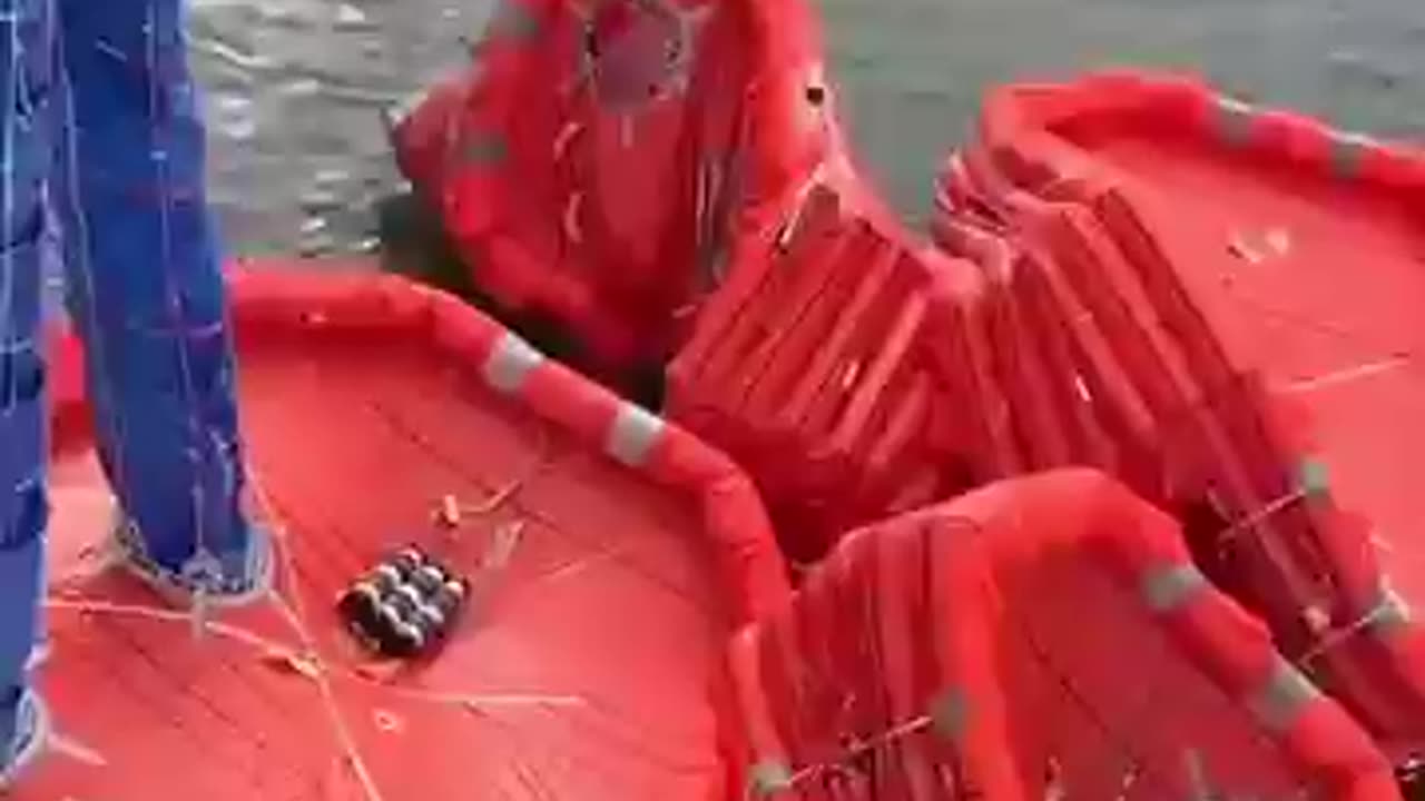 Why Do Crews Practice Marine Evacuation Drills Regularly? 🛳️✅