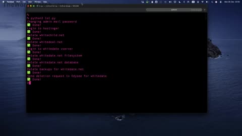 A German hacker known as "Martha Root" dressed as a pink Power Ranger