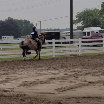 Just learned to ride english a month before!