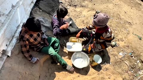 WFP says no aid has yet reached Gaza's population