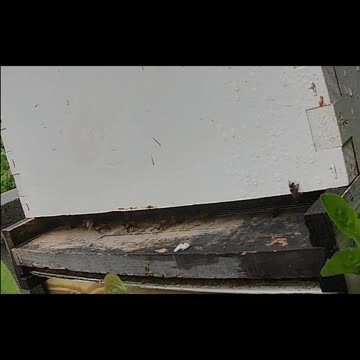 Saturday Morning Sun Up After Heavy Thunderstorms long cut