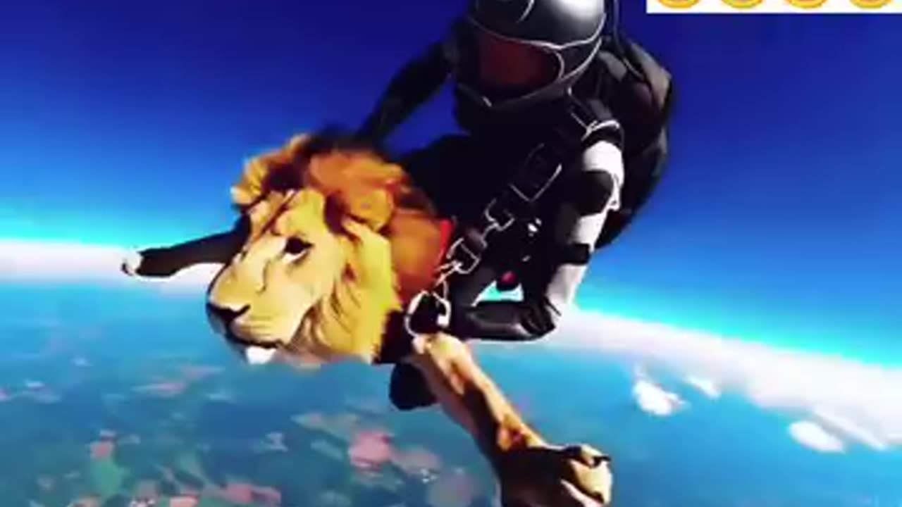 Lion is doing sky diving 🤣