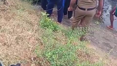 Bathiya elephant dead soo sad sri lanka wildlife