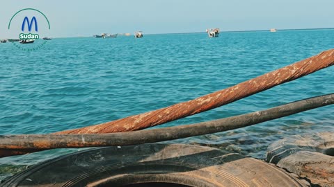 Nature and beauty in the red sea