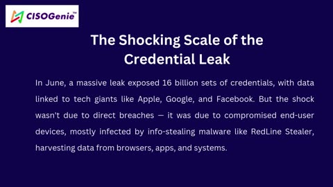 16 Billion credentials leaked — Could poor Risk Management strategies be at fault