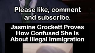Jasmine Crockett Accidentally Argues Against Illegal Immigration