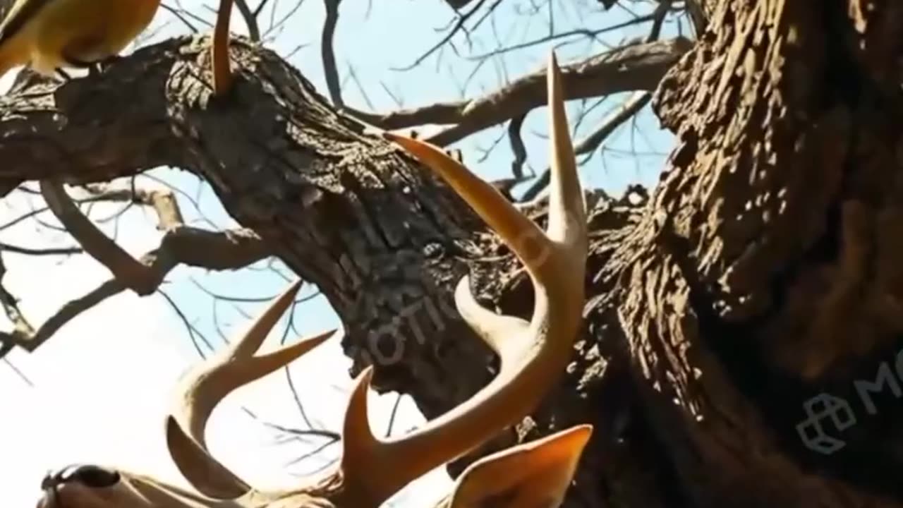 Bhakti ki kahaniyan