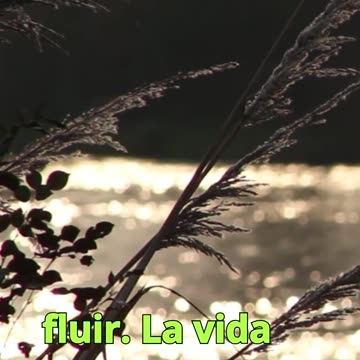 😊 37 LOS MILAGROS OCURREN CUANDO TE ALINEAS CON… 😊