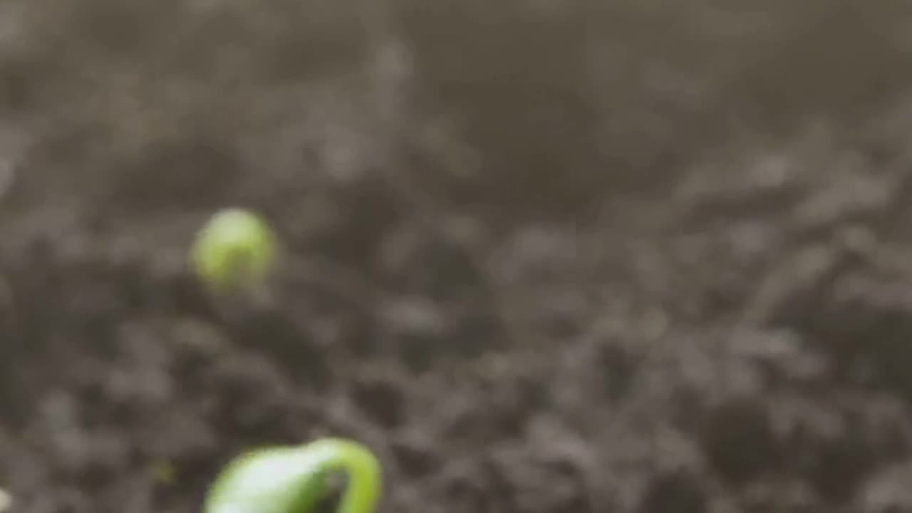 ¿Listo para tocar lo invisible? Descubre el éter y despierta tu potencial infinito.