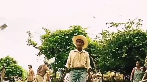 Film clips