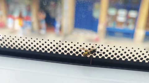Xiaomi 13 Pro - JUL25 Reel