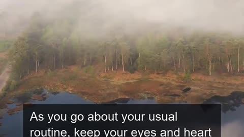 Daily Horoscope | Taurus 🌟