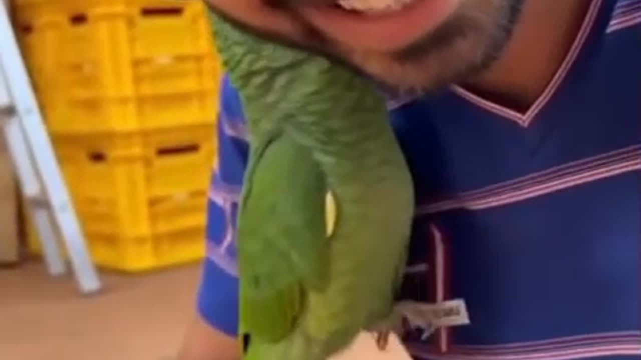 He is very happy in the presence of his owner.