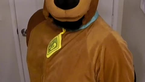 Are You A Furry