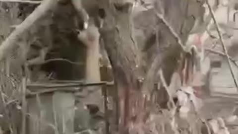 More Damage in Tel Aviv From Iranian Missiles