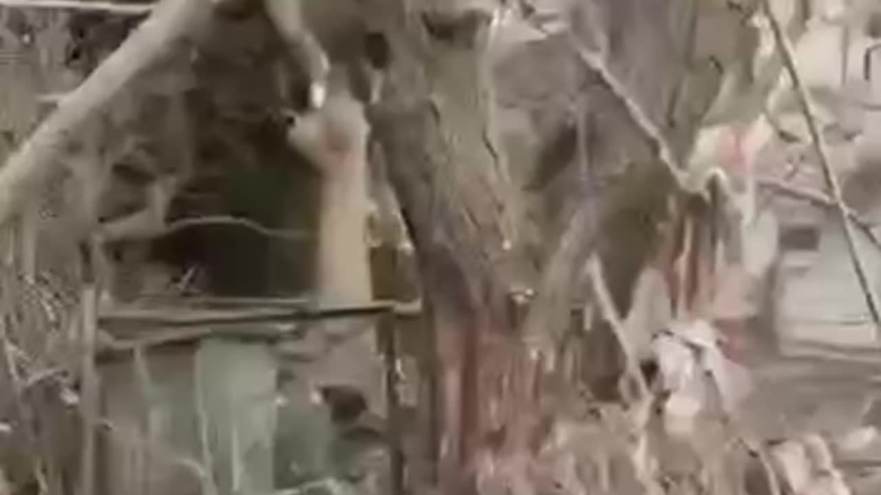 More Damage in Tel Aviv From Iranian Missiles