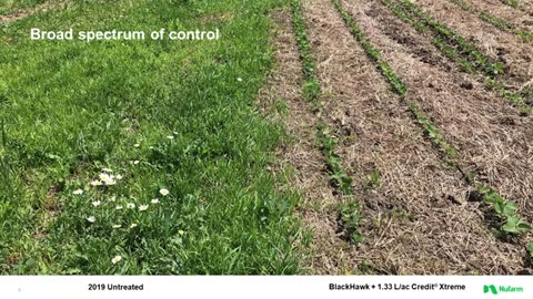 A Better Burndown with BlackHawk Herbicide | Nufarm Canada