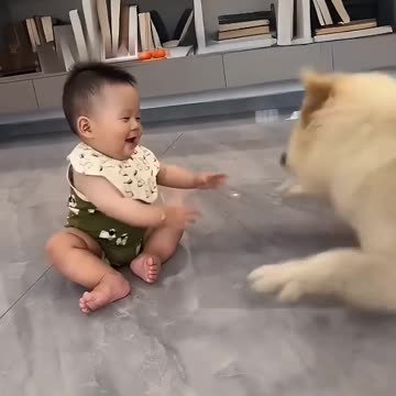 The boy and the dog.🙉 😂 😂