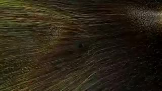 The Thunderbolts Project - Electric Glow of Sun
