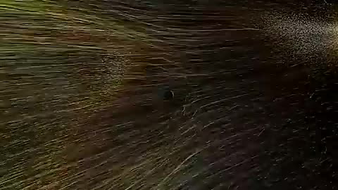 The Thunderbolts Project - Electric Glow of Sun