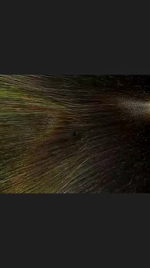 The Thunderbolts Project - Electric Glow of Sun