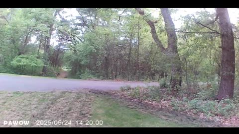 Lawn Fun
