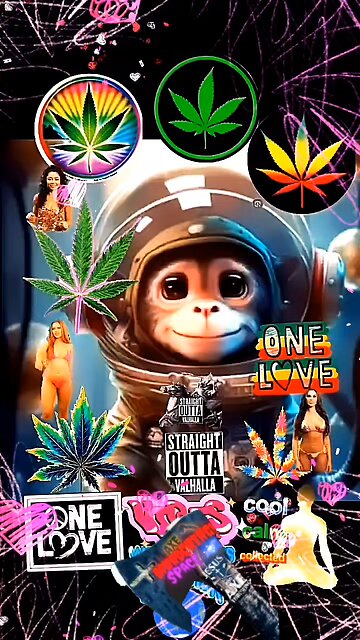 Space Monkey Business 🤯