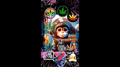 Space Monkey Business 🤯