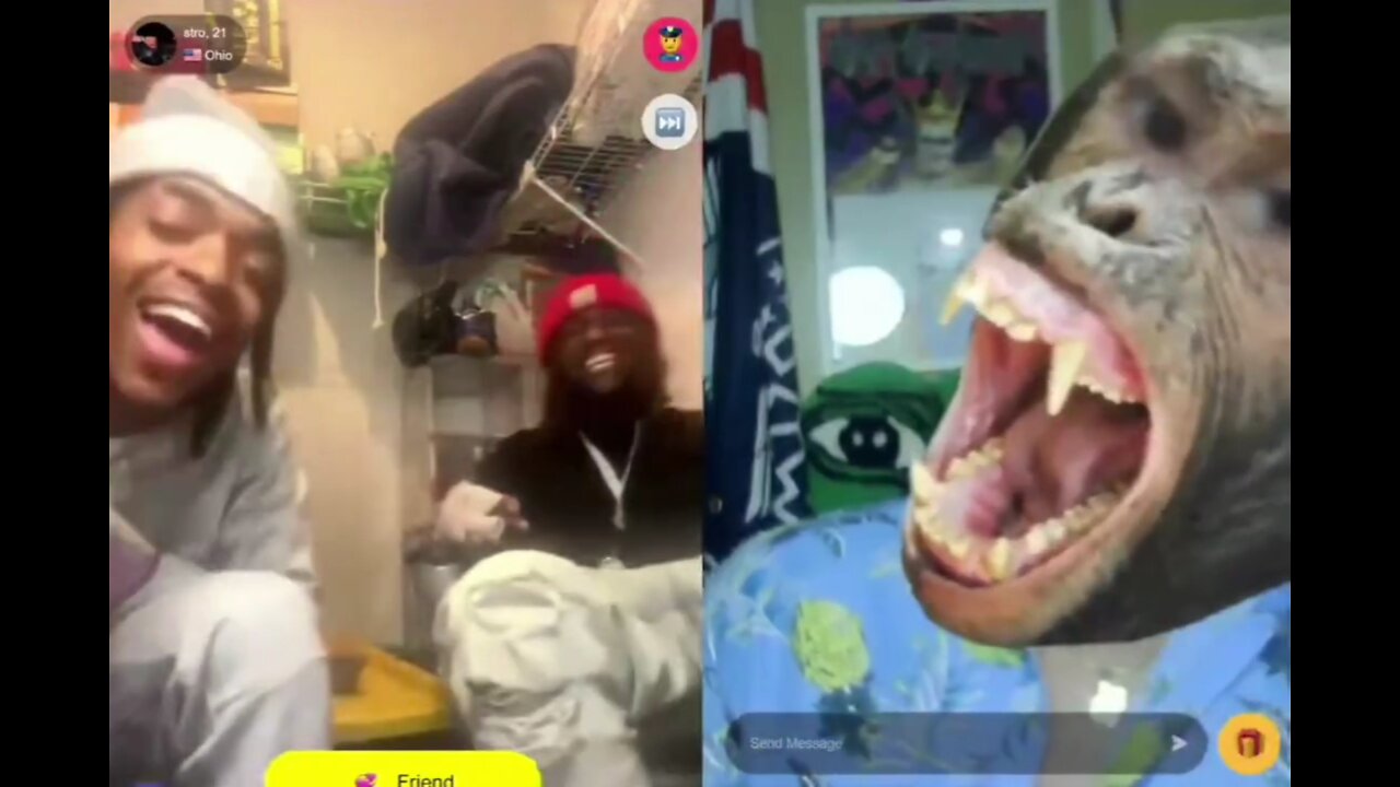 Gypsy Crusader clip 470