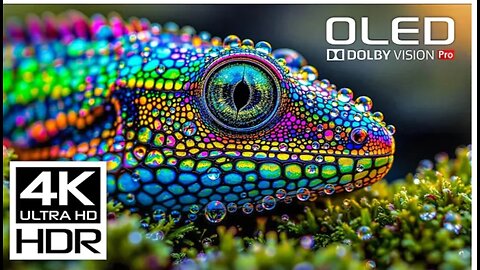 This Will Challenge Your Screen: Most Amazing 4K HDR Dolby Vision Video at 120 FPS