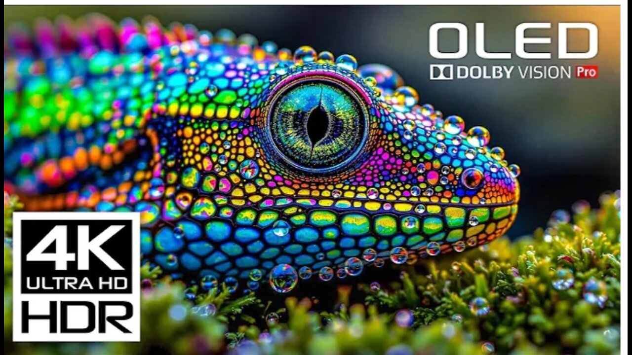 This Will Challenge Your Screen: Most Amazing 4K HDR Dolby Vision Video at 120 FPS