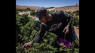 WH Offers New Visa Program for Migrant Workers