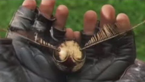 Trump To Deploy 300,000 Killer Drones By February 2026! Jeff Snysder