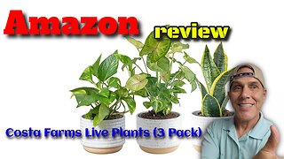 Costa Farms Live Plants (3 Pack), Easy to Grow Real Indoor Houseplants