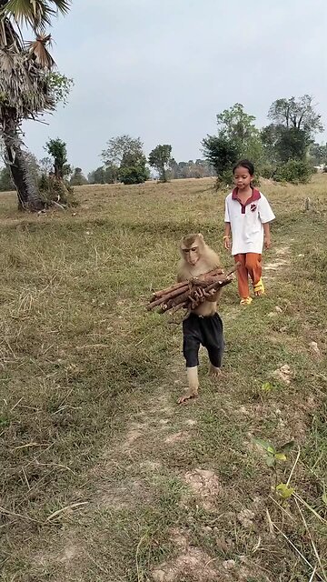 Best SokYaa, OG, Pao & Mom Are Famous Around The World #shorts #anime #trend #edit