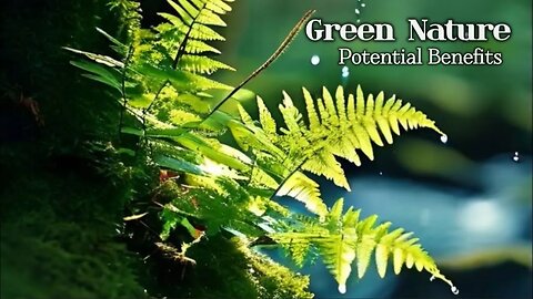 Potential Benefits Of Watching a Green Nature Relaxation Music. #greennature #benifits #relaxing