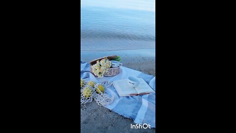 enjoy picnic