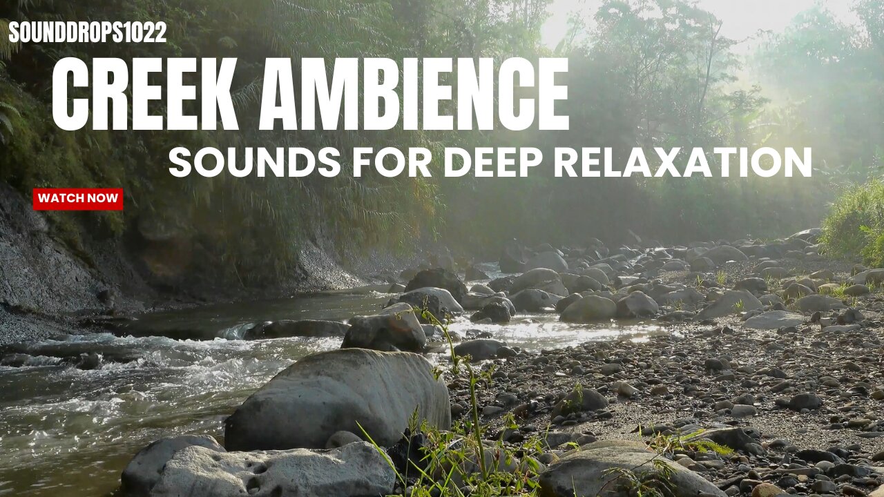 4 Hours of Creek Ambience for Deep Relaxation
