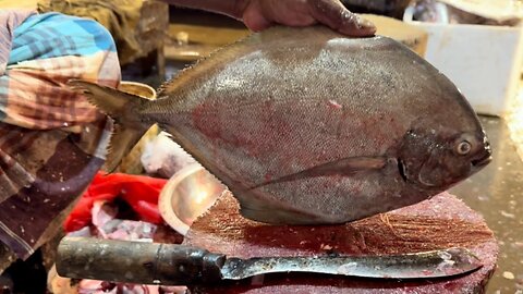 Amazing Fish cutting skill 06| you must watch