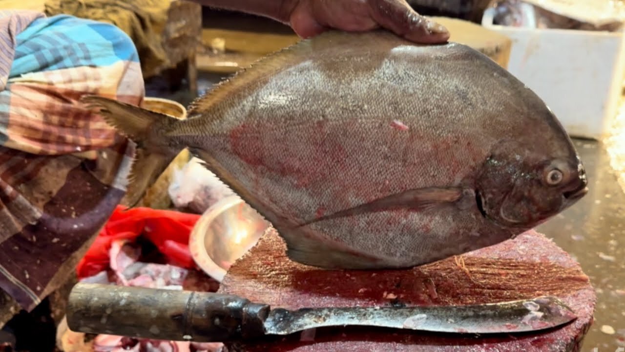 Amazing Fish cutting skill 06| you must watch